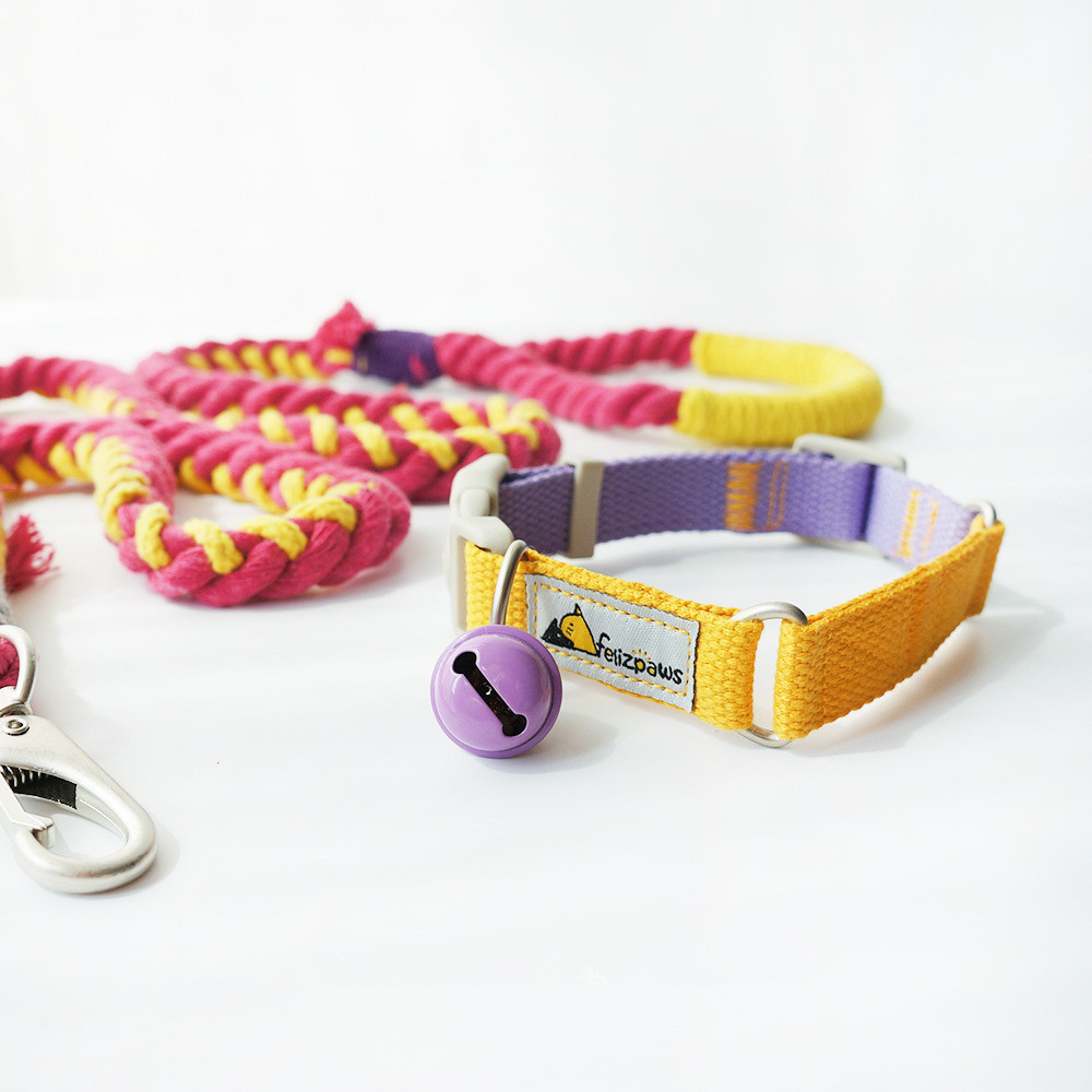 Original Pet Dog Hit Color Collar - Image 4