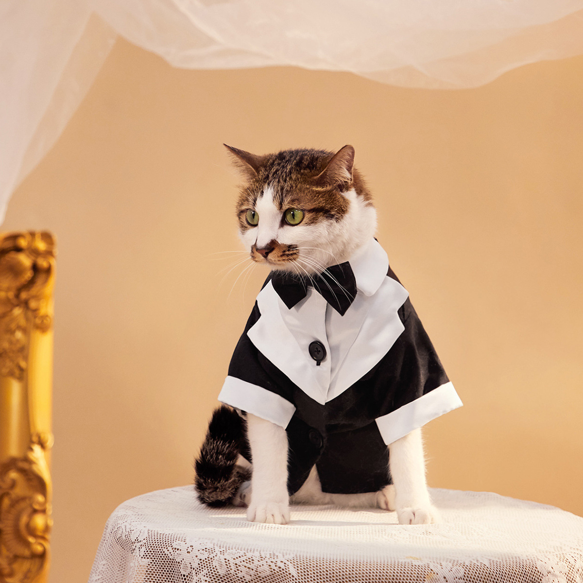 Gentleman Four-legged Suit Wedding Dress