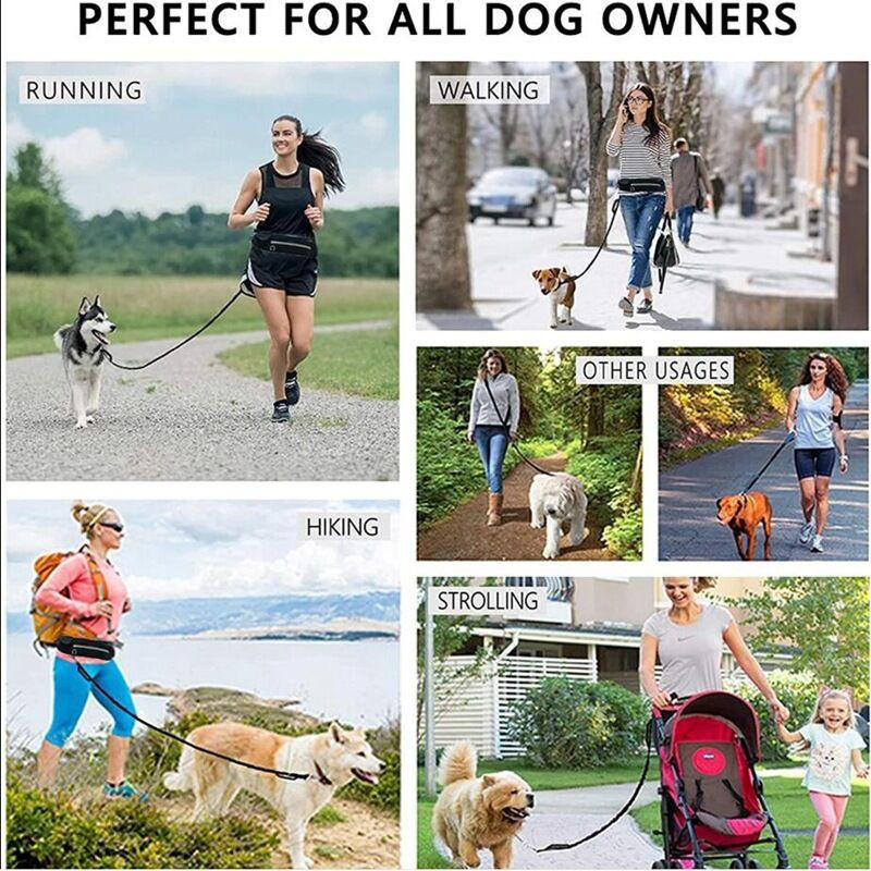 Hands Free Pet Purse Leash For Dog Walking - Image 5