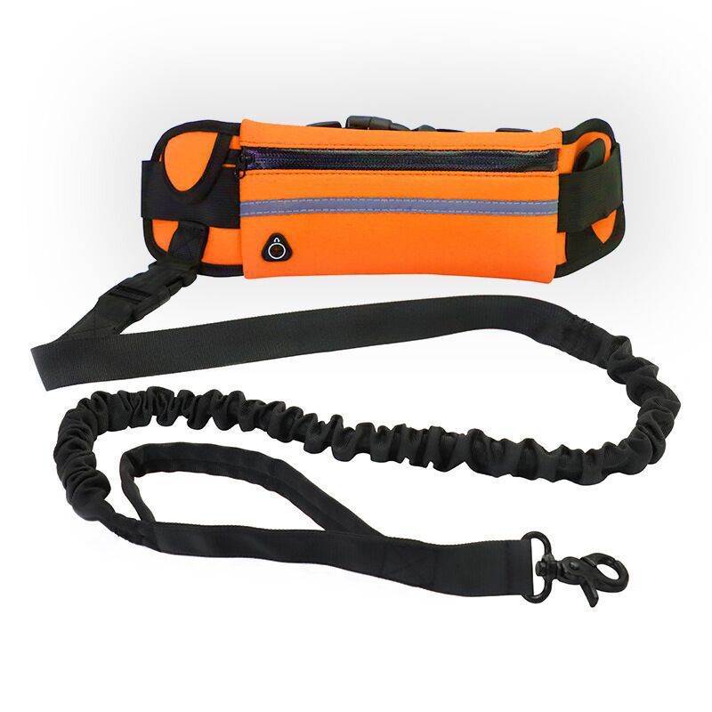Hands Free Pet Purse Leash For Dog Walking - Image 8