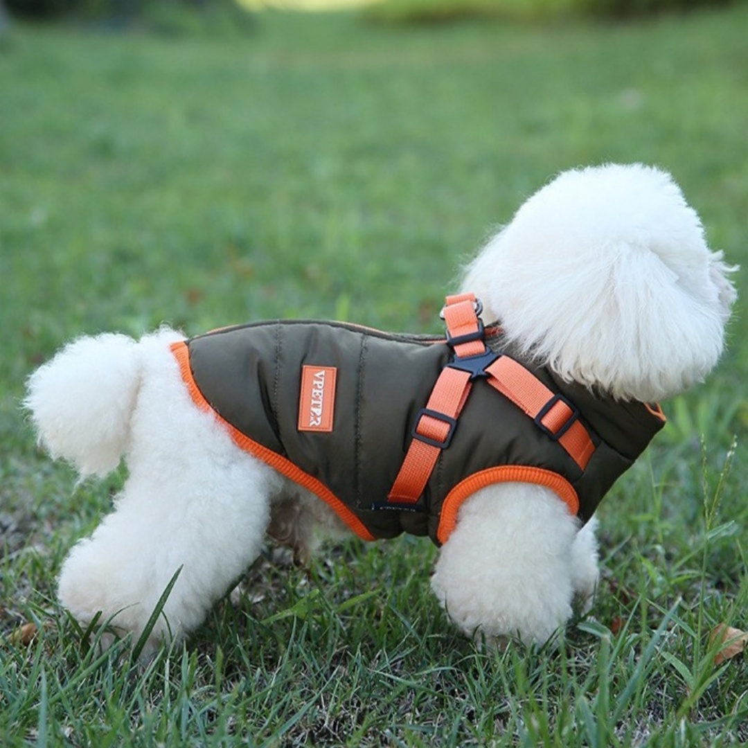 Plus Velvet Thick Cotton-Padded Dog Vest
