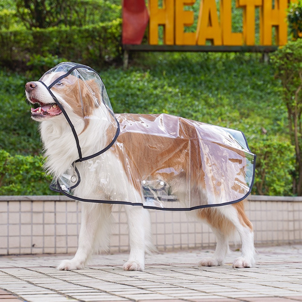 Waterproof Clear Breathable Raincoat With Hooded - Image 4