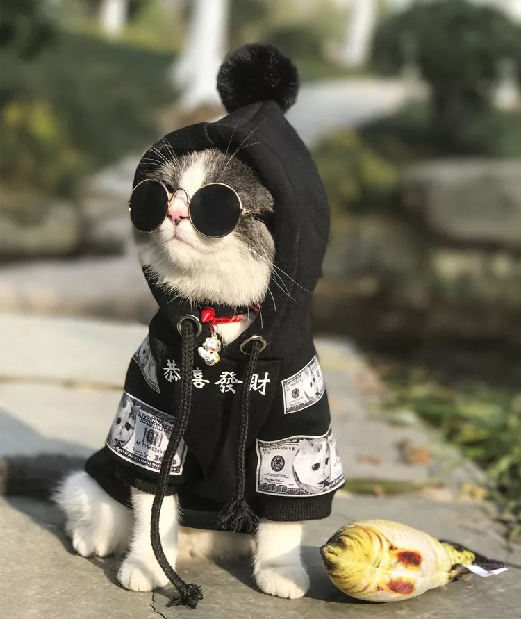 Pure Cotton Plus Fleece Pet Sweater With Hood - Image 3