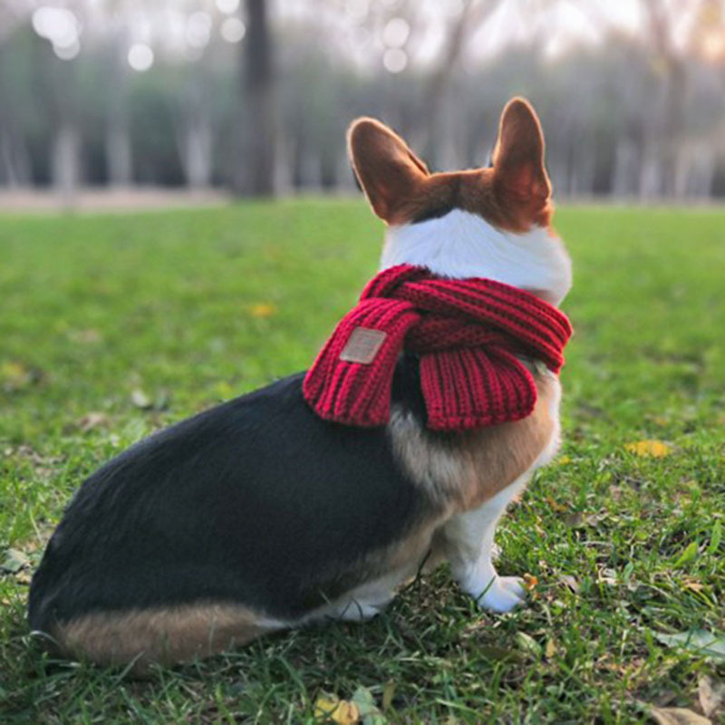 Dog Scarf Fighting Corgi Teddy Bichon Scarf - Image 6