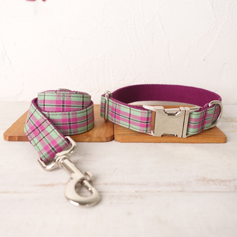 Pet Dog Traction Collar Leash Belt