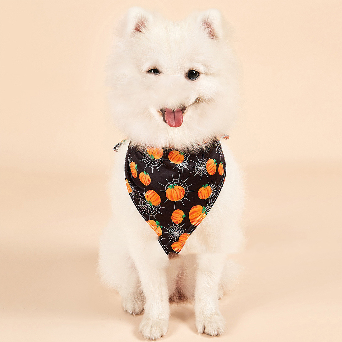 Pet Halloween Double-sided Saliva Towel - Image 6