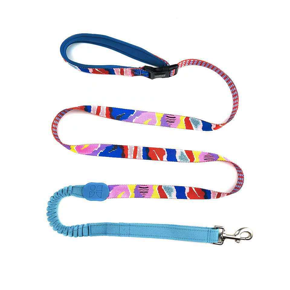 Multifunctional Buffer Pet Out Walking Dog Rope - Image 2