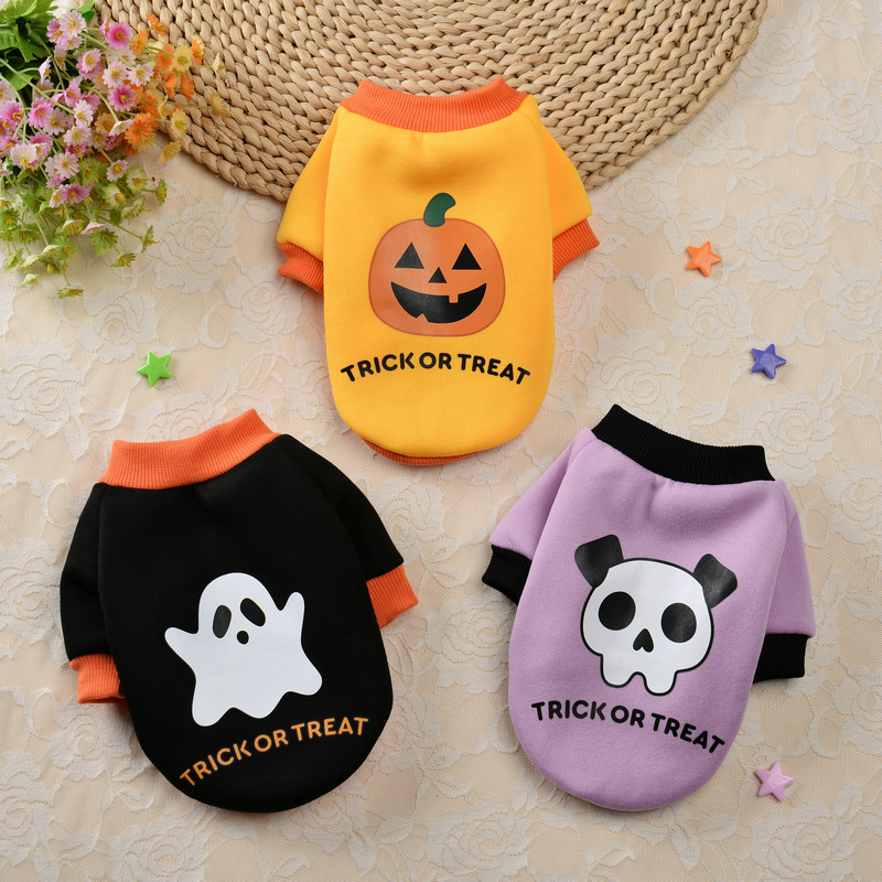Pet Halloween Pumpkin Skull Teddy Sweater
