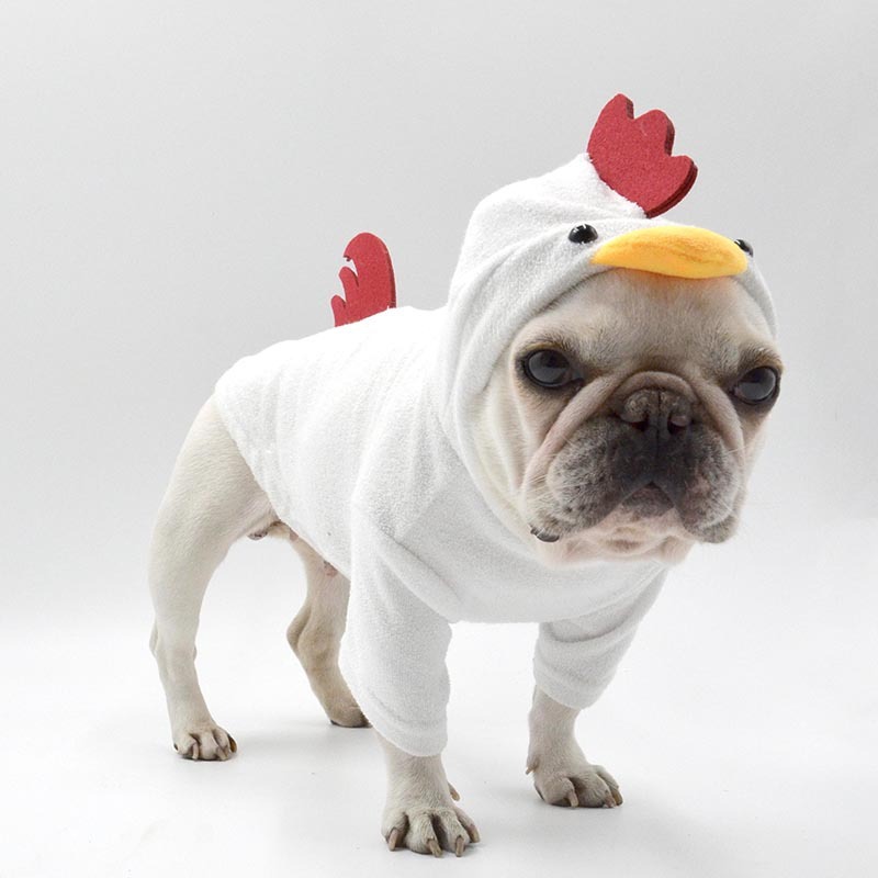 Cute Rooster Style Dog Sweater With Hood - Image 4