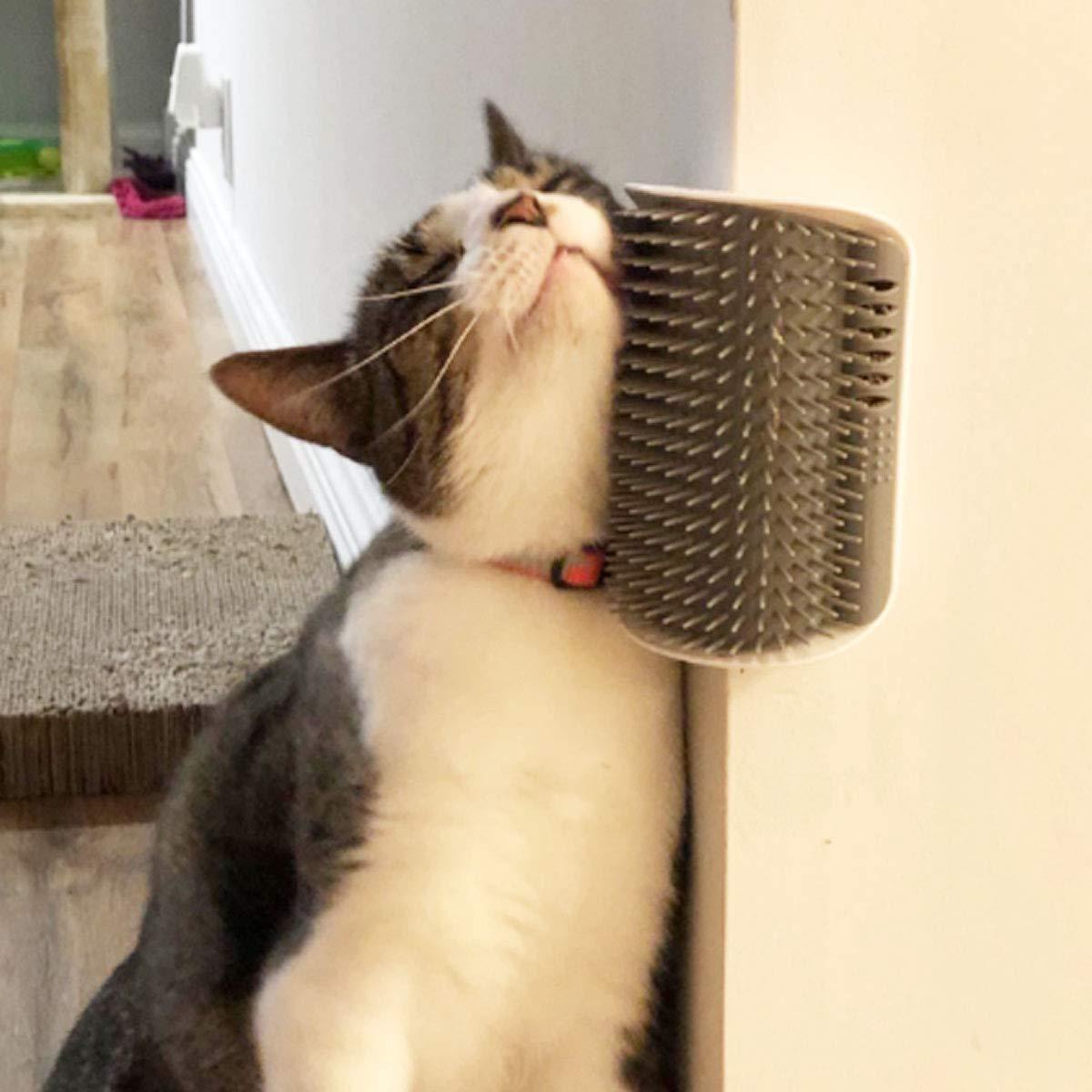 Cat Self Groomer Wall Mount Scratcher