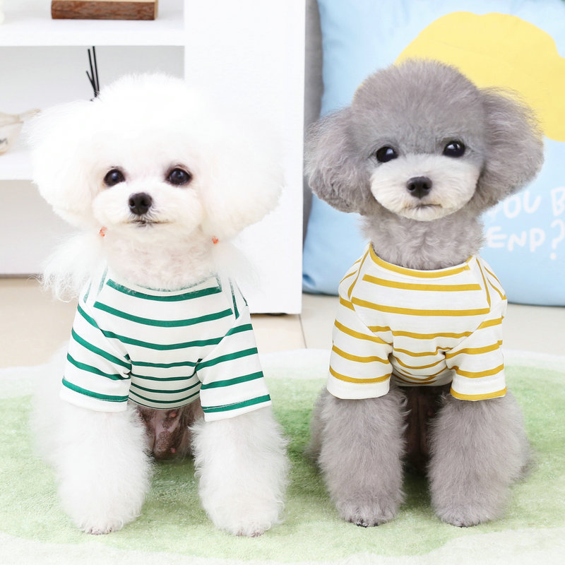 Pomeranian Embrace Bear Teddy Pet shirt