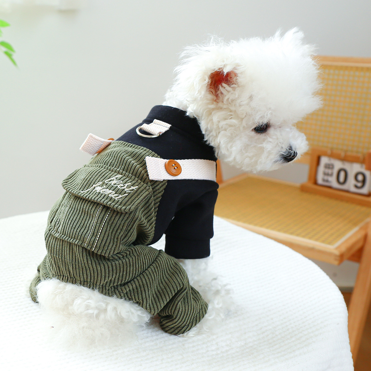 CorduroyPet Dog Ring Cat Suit