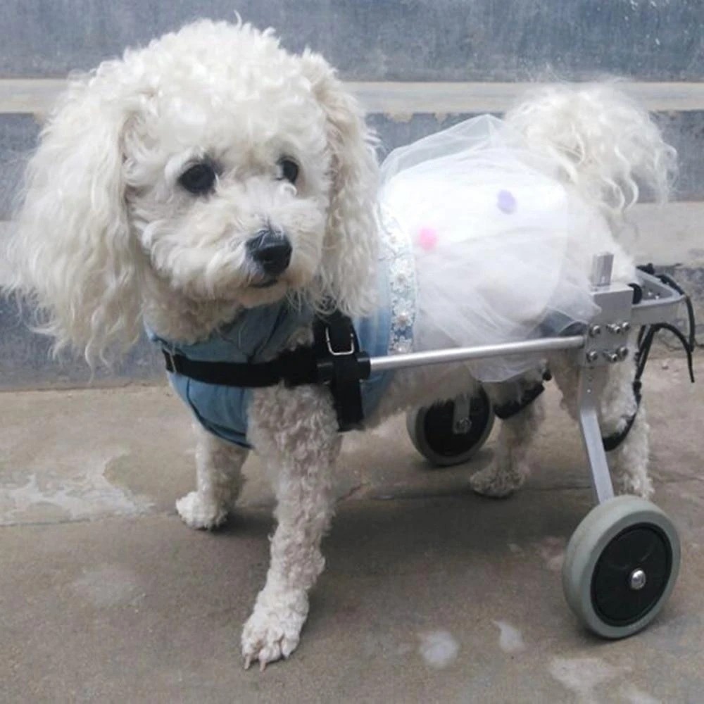 Fully Adjustable Dog Wheelchair - Image 3