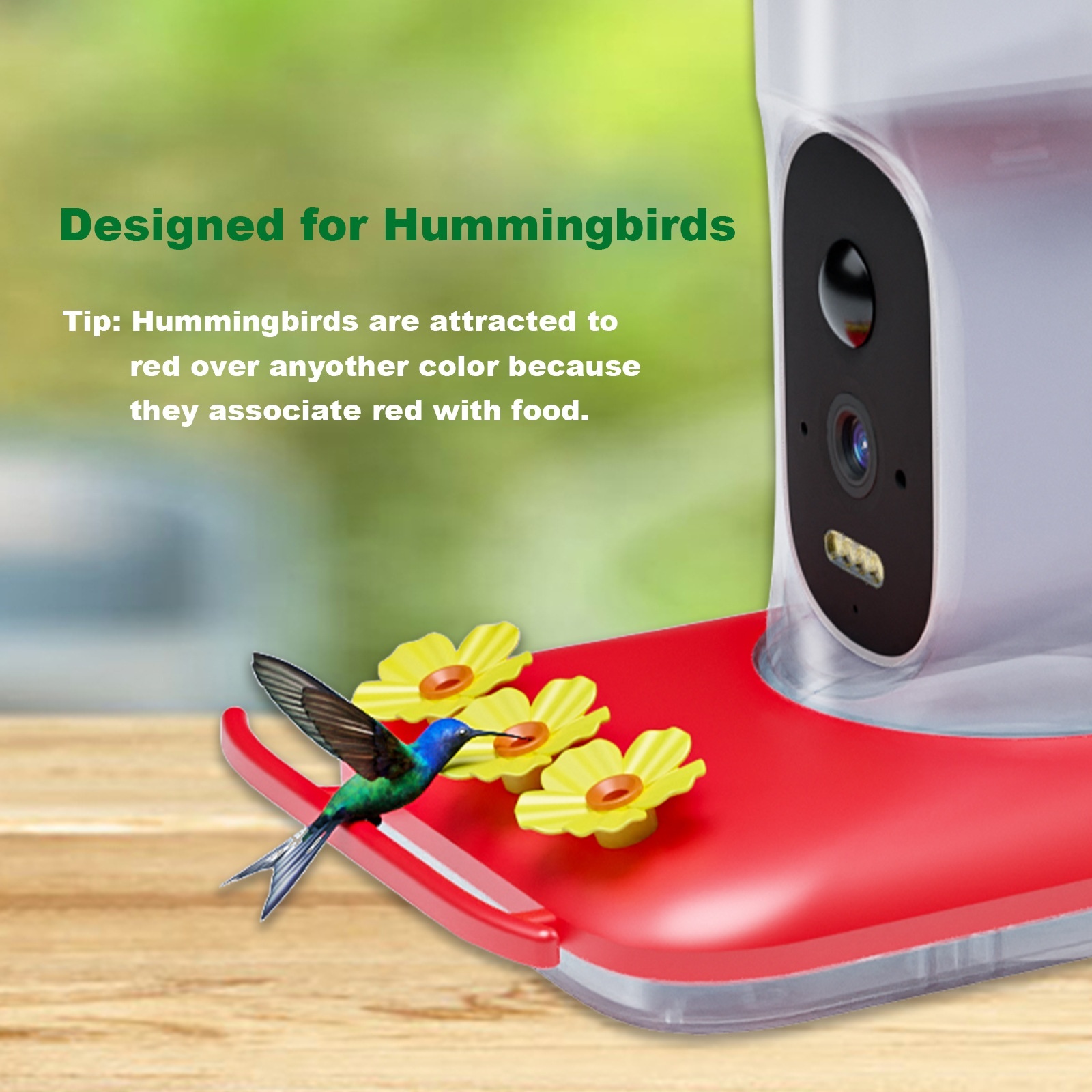 Intelligent Visual Hummingbird Water Feeder - Image 6