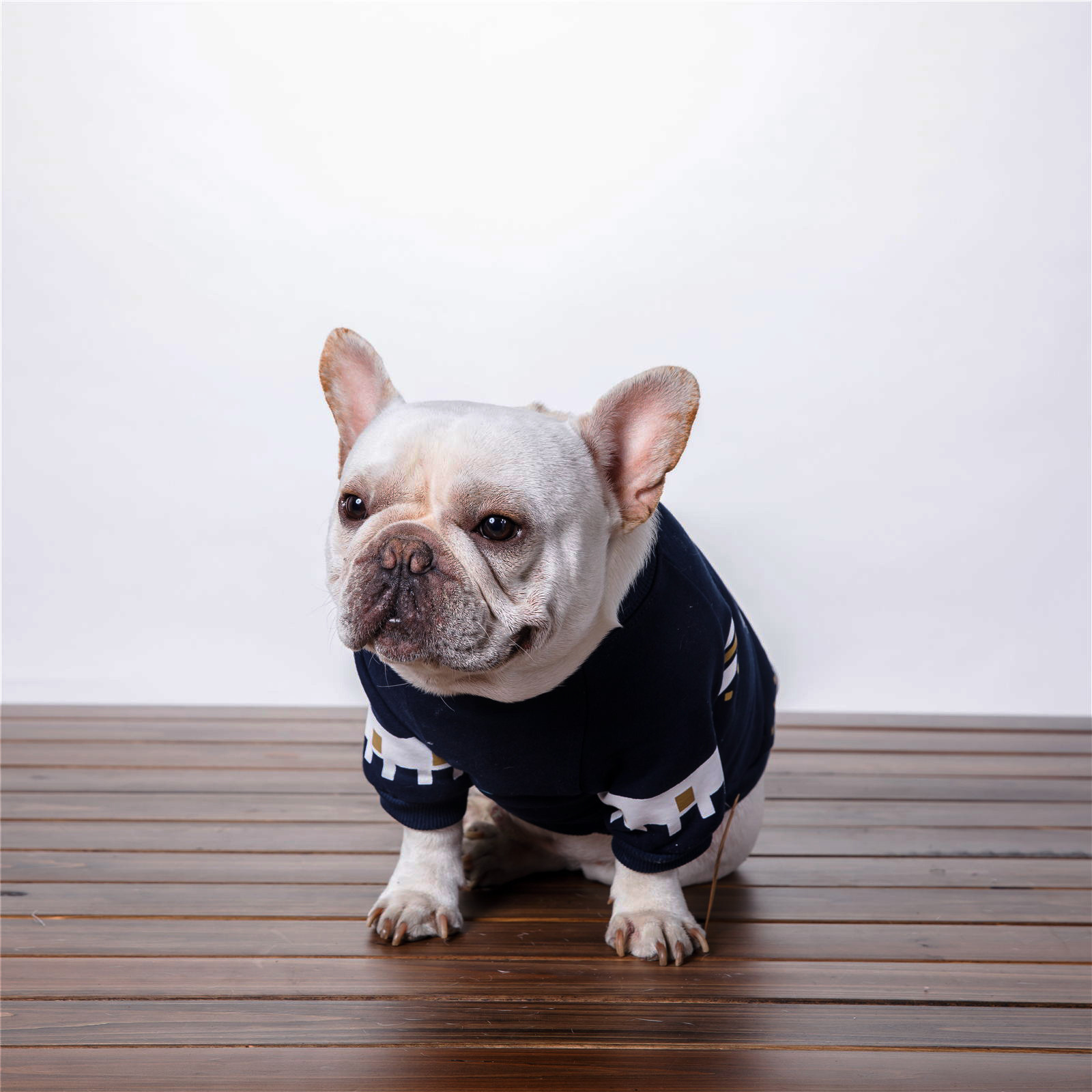 Plus Cotton Velvet Print Pet Cloth - Image 2
