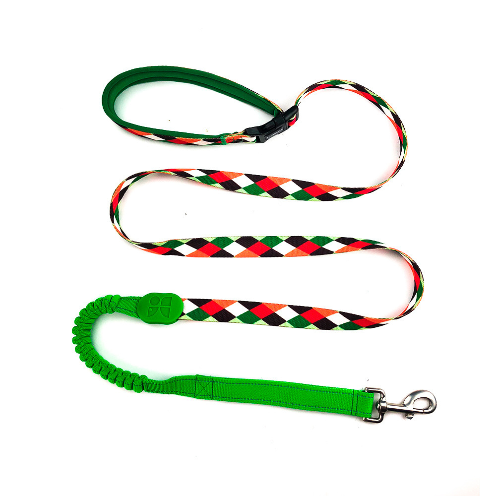 Multifunctional Buffer Pet Out Walking Dog Rope - Image 5