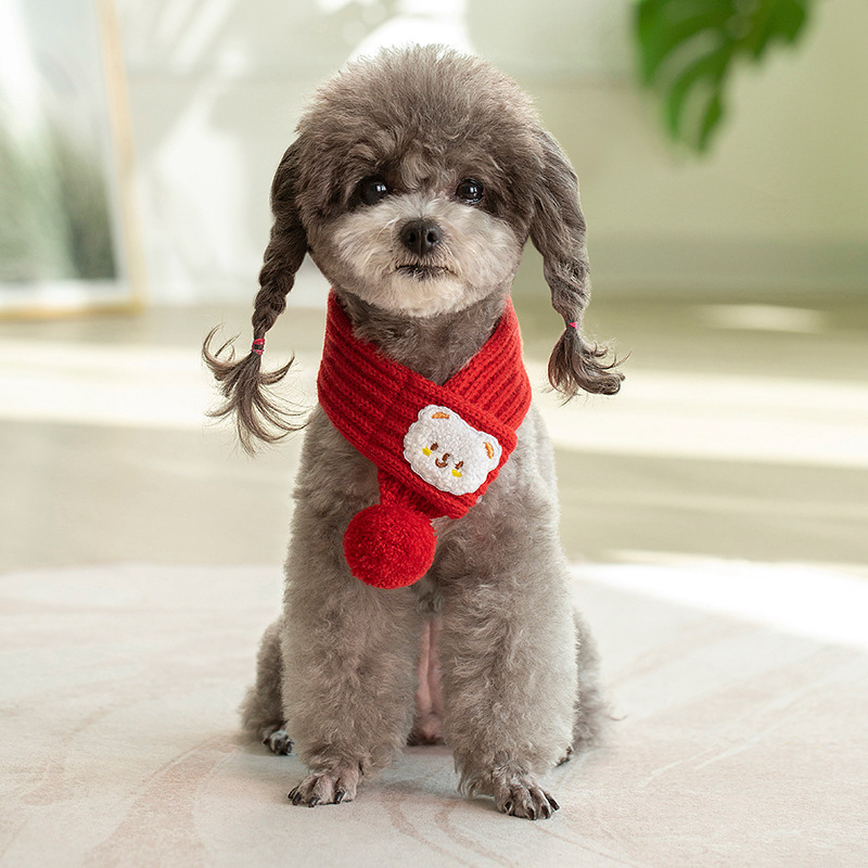 Fashion Personalized Pet Winter Wool Scarf