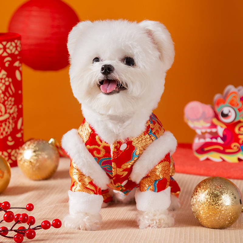 Dragon Brocade Pet Jumpsuit - Image 6