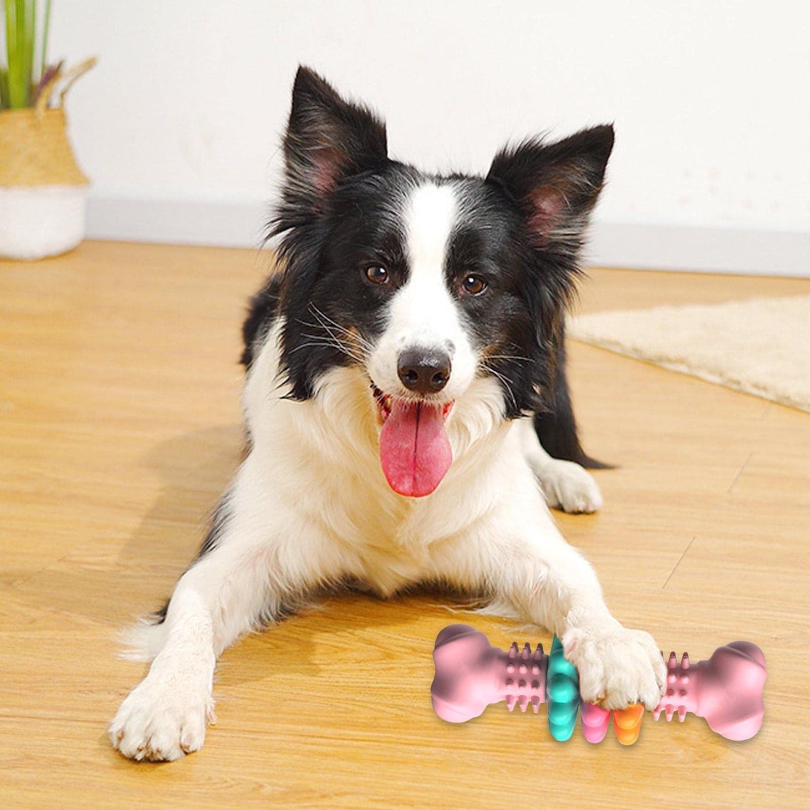 Indestructible TPR Bone Chewing Dog Toy - Image 6