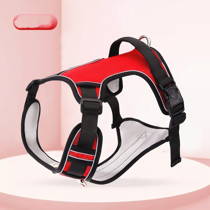 Pet Hand Holding Harness Rope - Image 4
