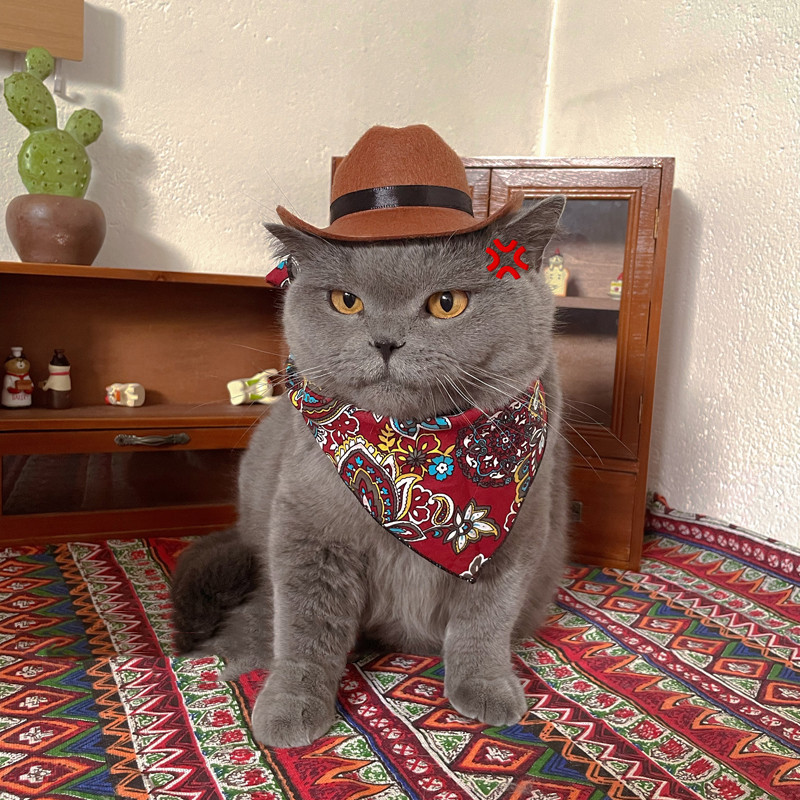 Pet Cowboy Western Decorative Hat - Image 2