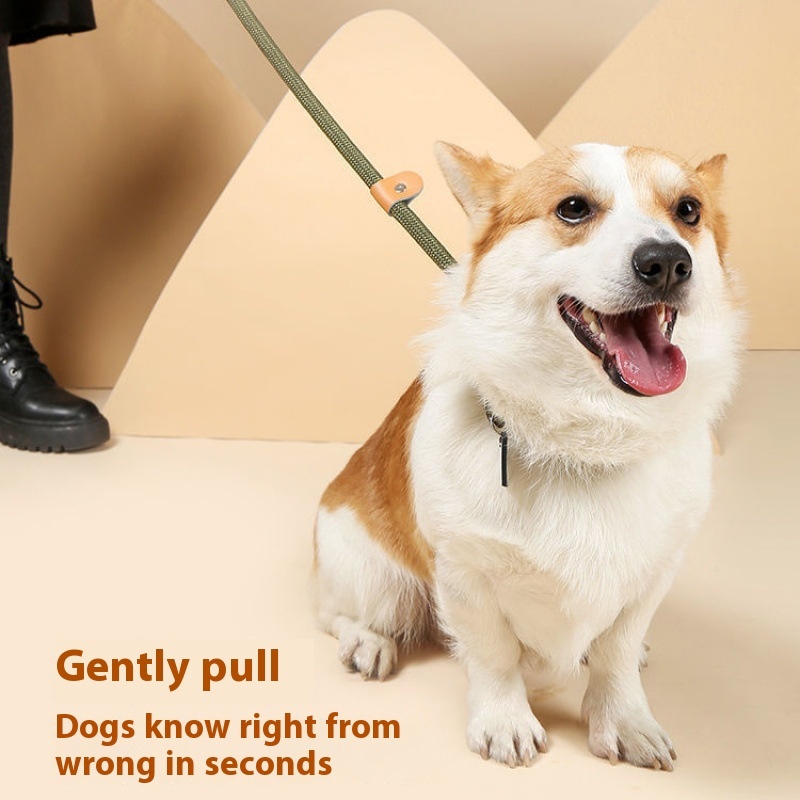 Dog Walking Training Hand Holding Rope - Image 2