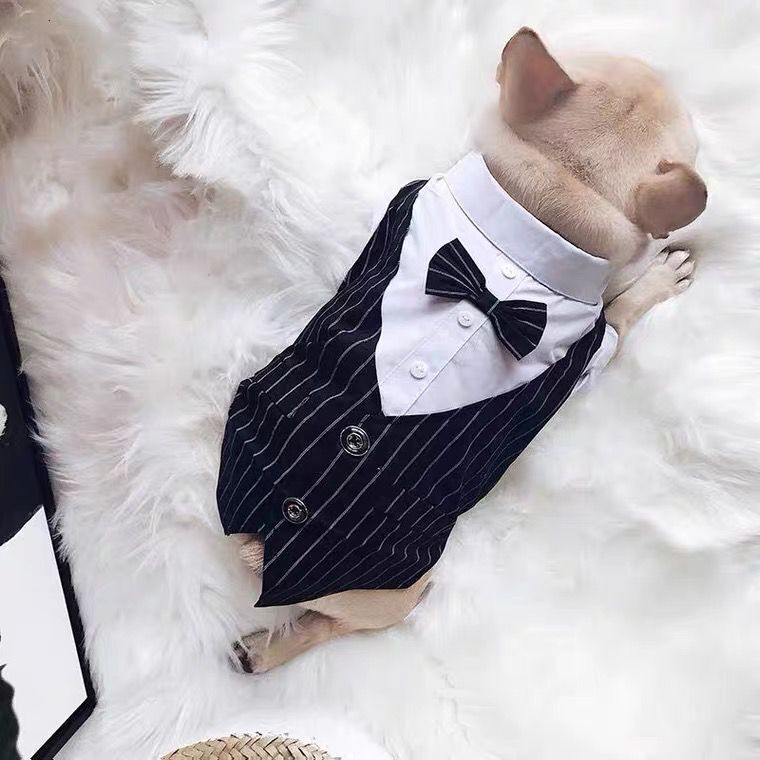 Creative And Simple Pet Dog Shirt Coat - Image 5