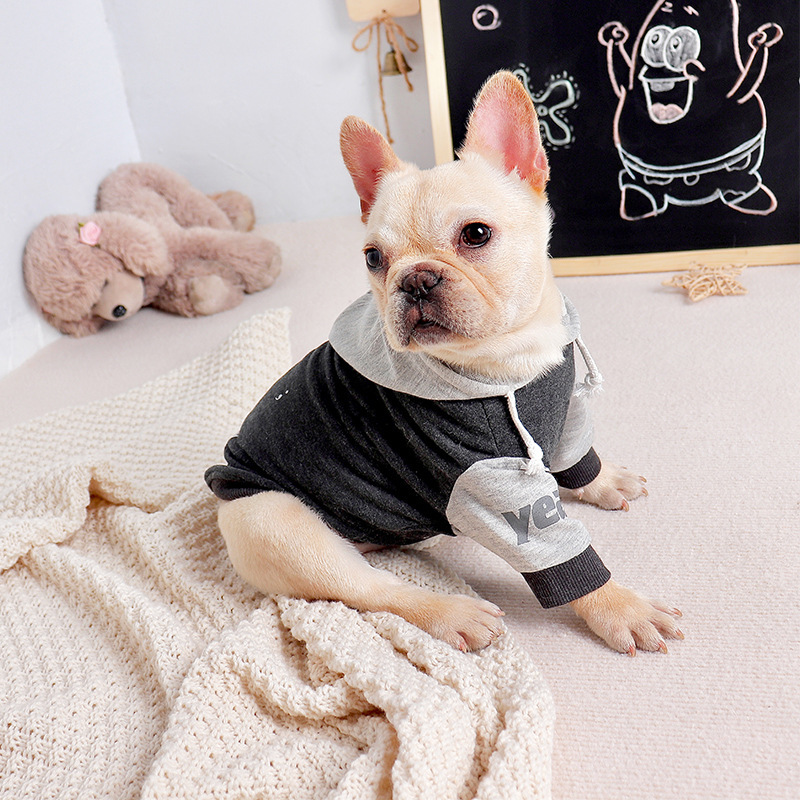 Pet Dog Fashion Two-Legged Cloth Sweater