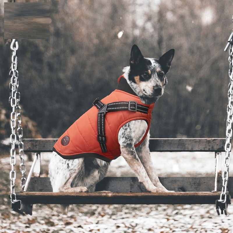 Pet Cotton-Padded Warm Thickened Chest Jacket