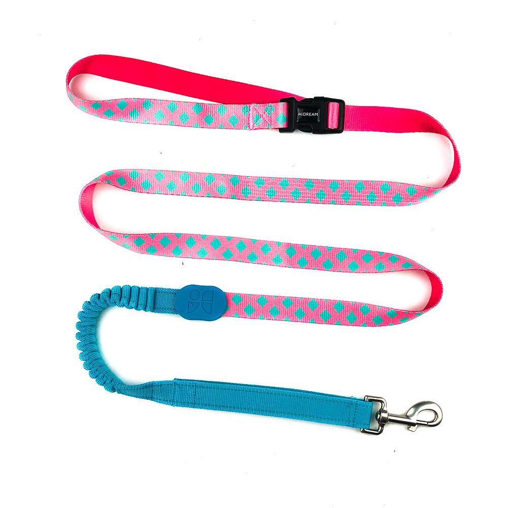 Multifunctional Buffer Pet Out Walking Dog Rope - Image 4