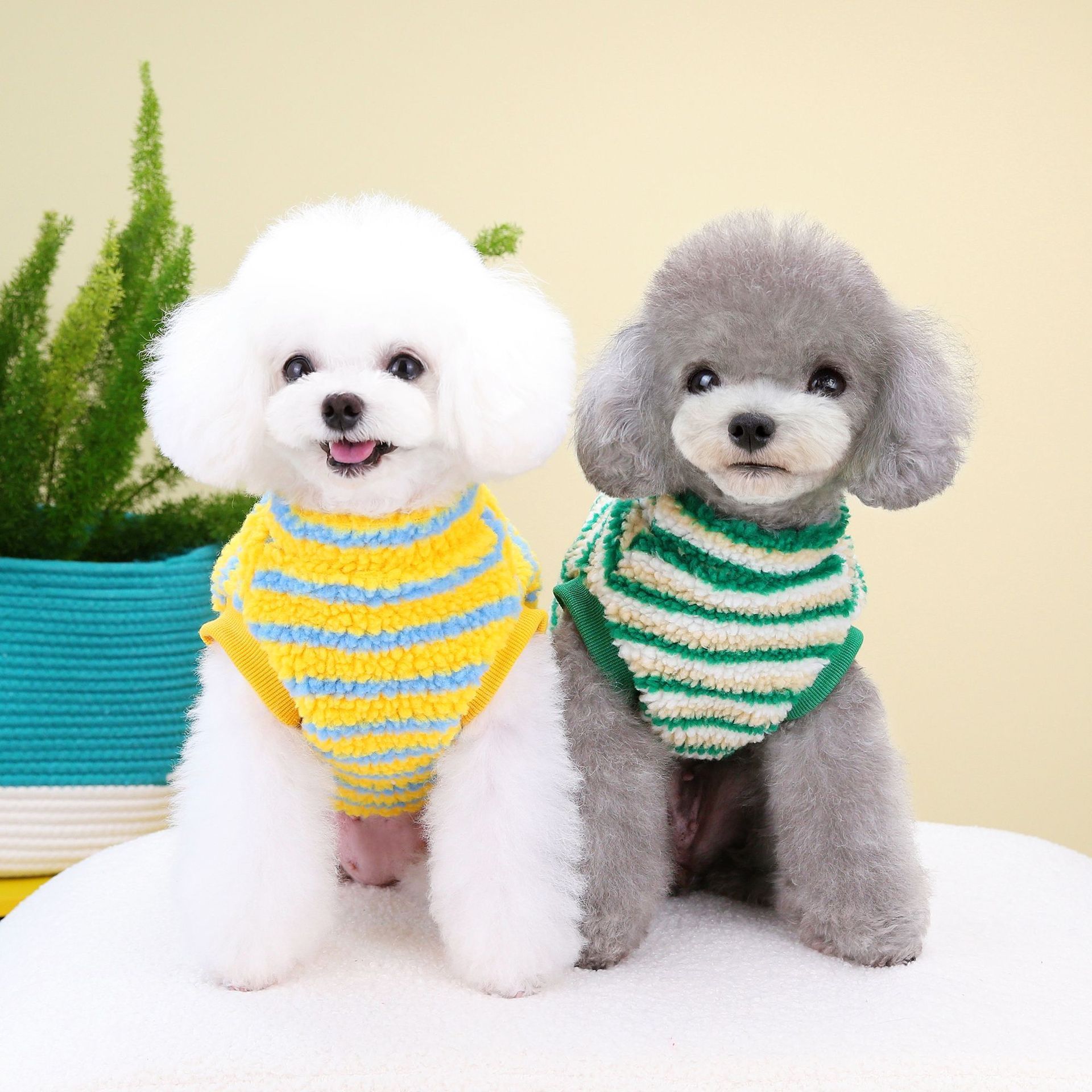 Thickened Striped Bear Pet Top - Image 3