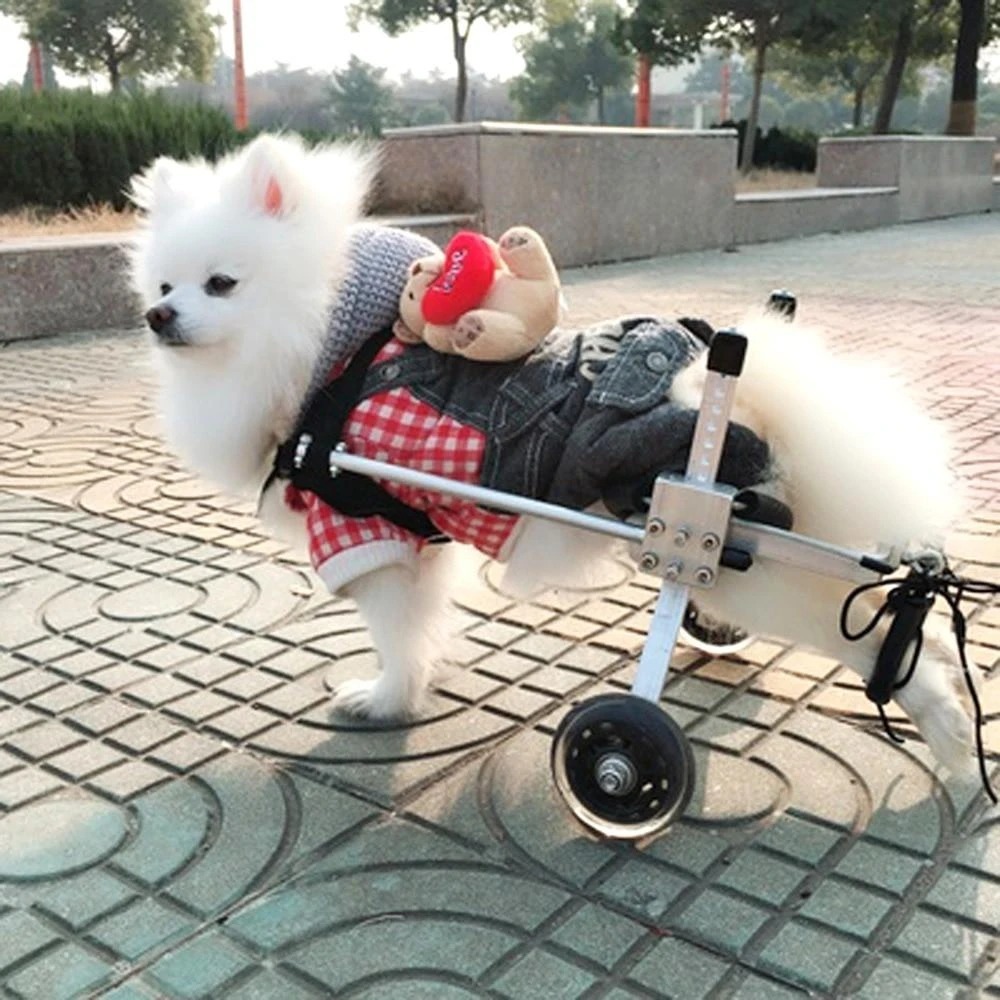 Fully Adjustable Dog Wheelchair
