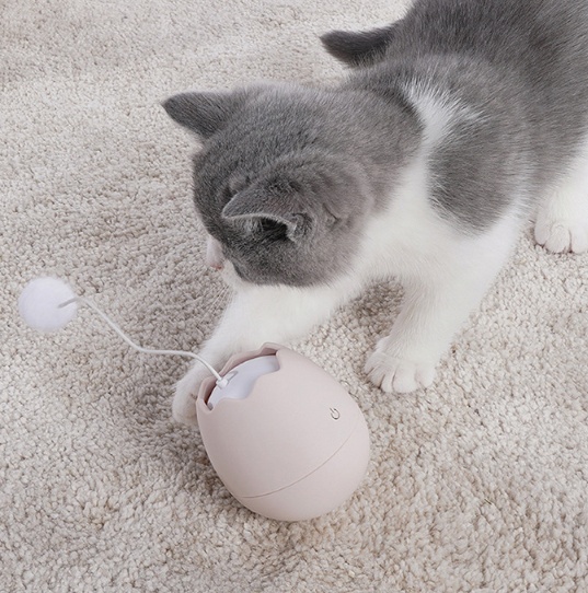 Funny Artifact Egg Shell Cat Toys - Image 9