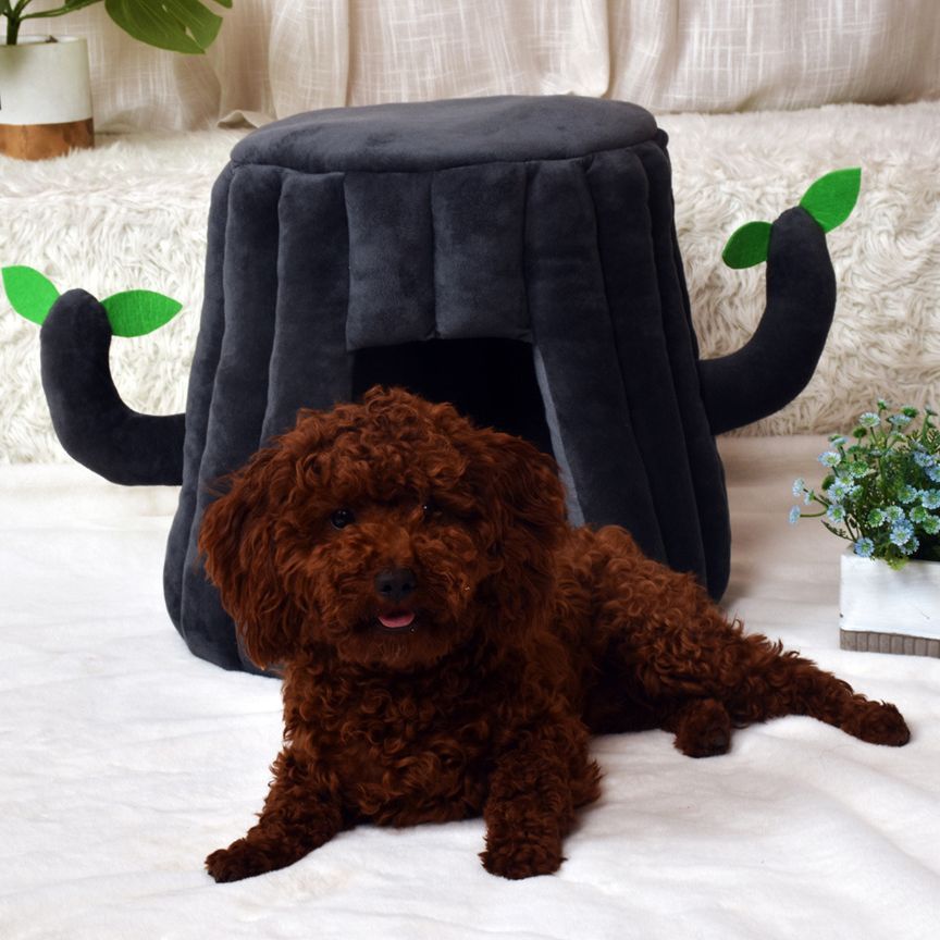 Plush Brown Cat Kennel House - Image 6