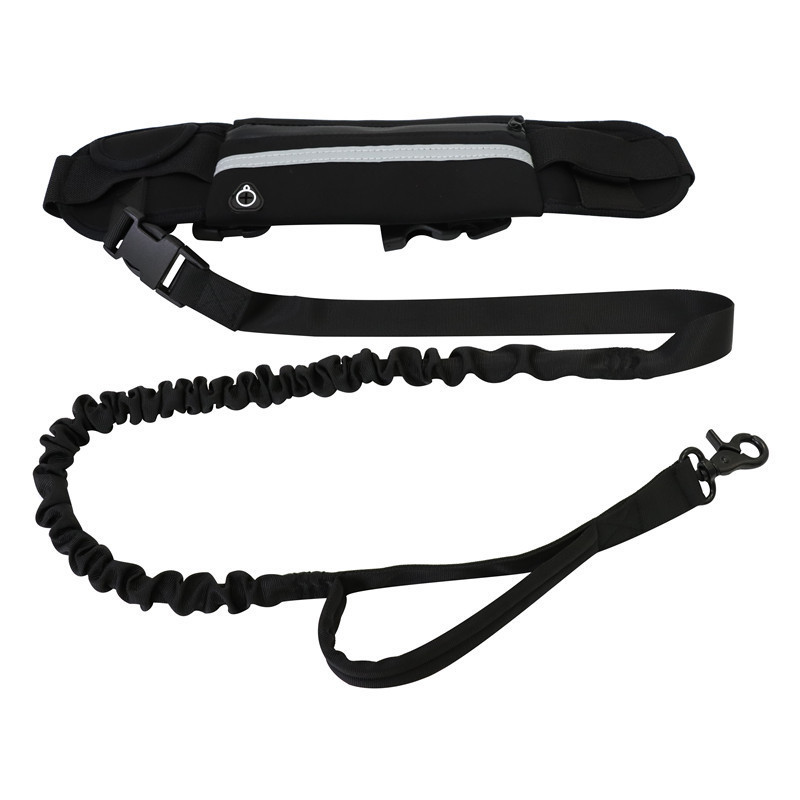 Hands Free Pet Purse Leash For Dog Walking - Image 4