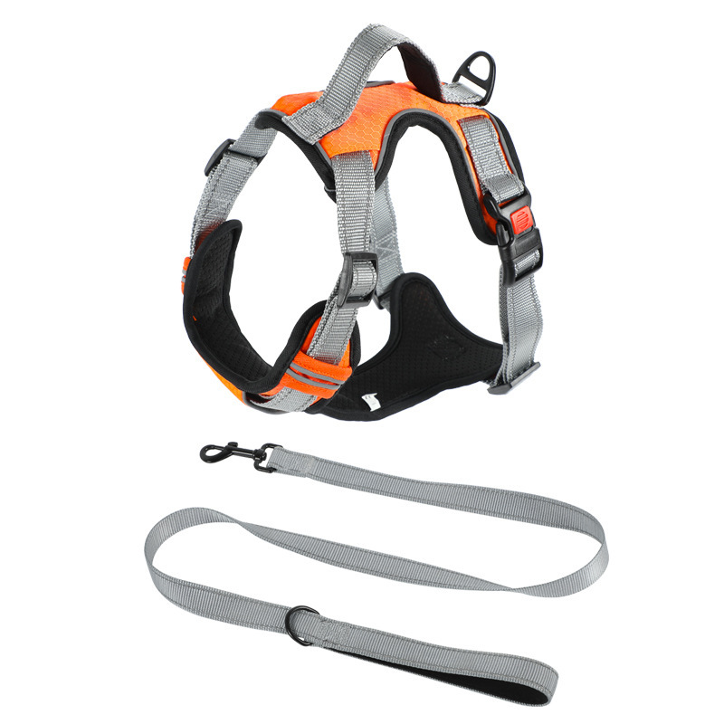 Dog Hand Holding Rope Vest Dog Strap - Image 6