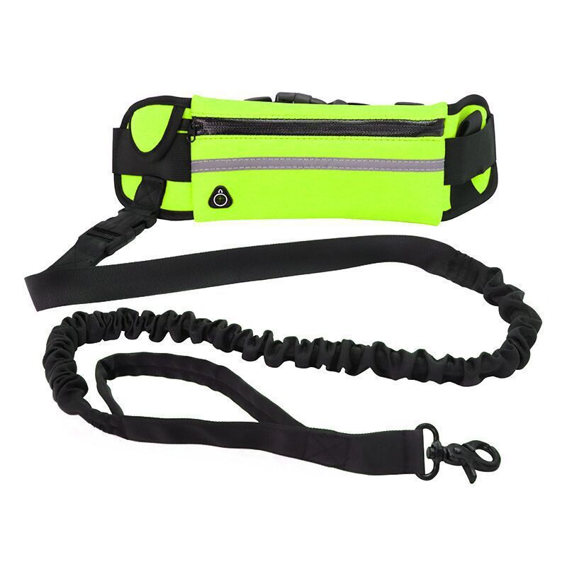 Hands Free Pet Purse Leash For Dog Walking - Image 9