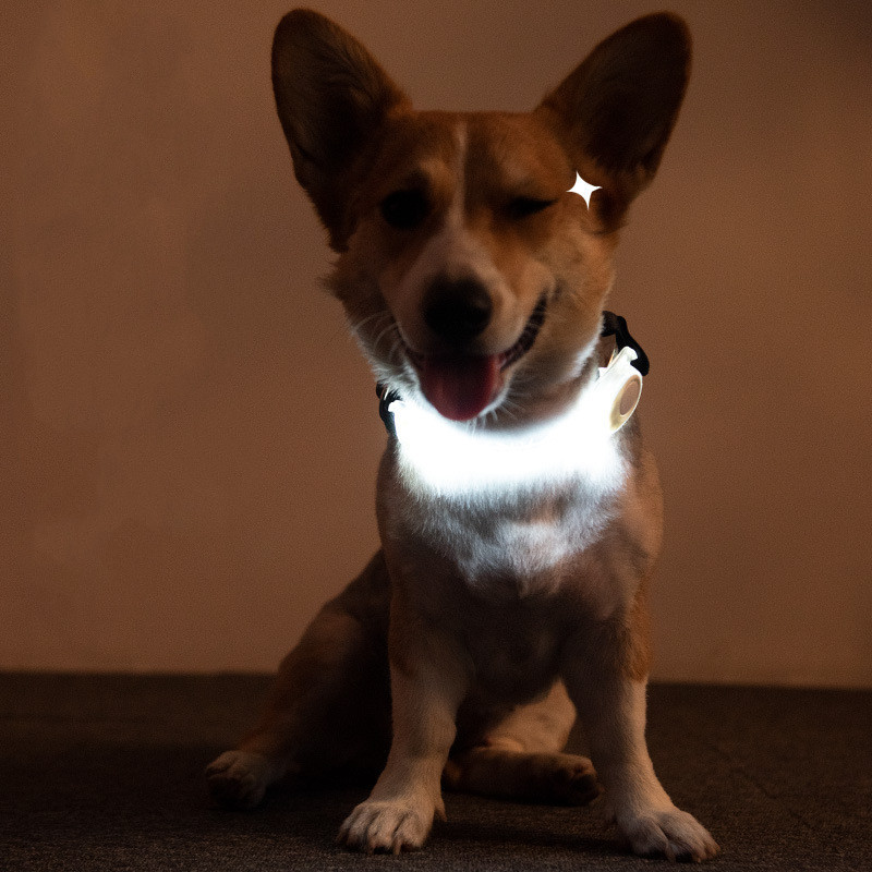 Pet Supplies LED Lead Rope Light Collar - Image 6