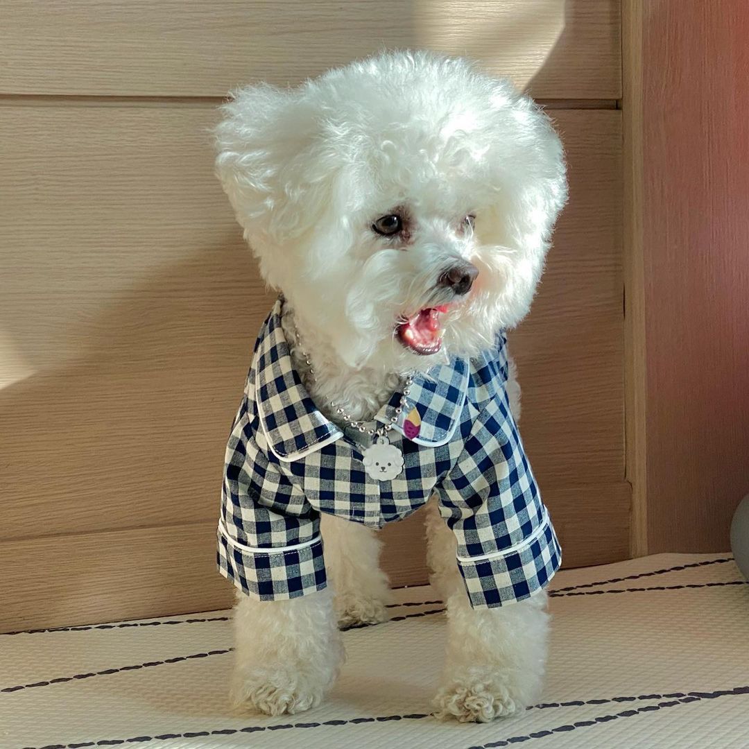 Plaid Khaki Blue Pocket Pajamas For Dogs - Image 2