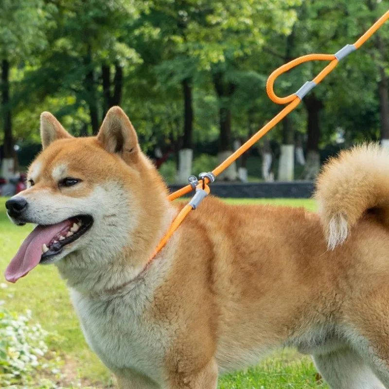 Double Handle Nylon Slip Chains Dog Leash