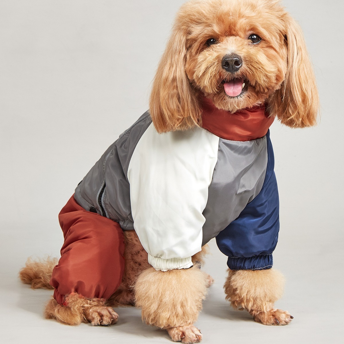 Pet Color Matching Cotton-padded Warm Jacket