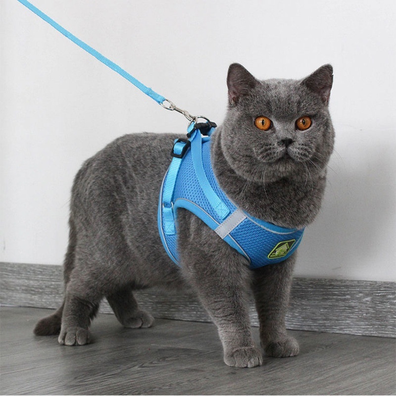 Anti-Escape Breathable Cat Walking Leash Vest - Image 9