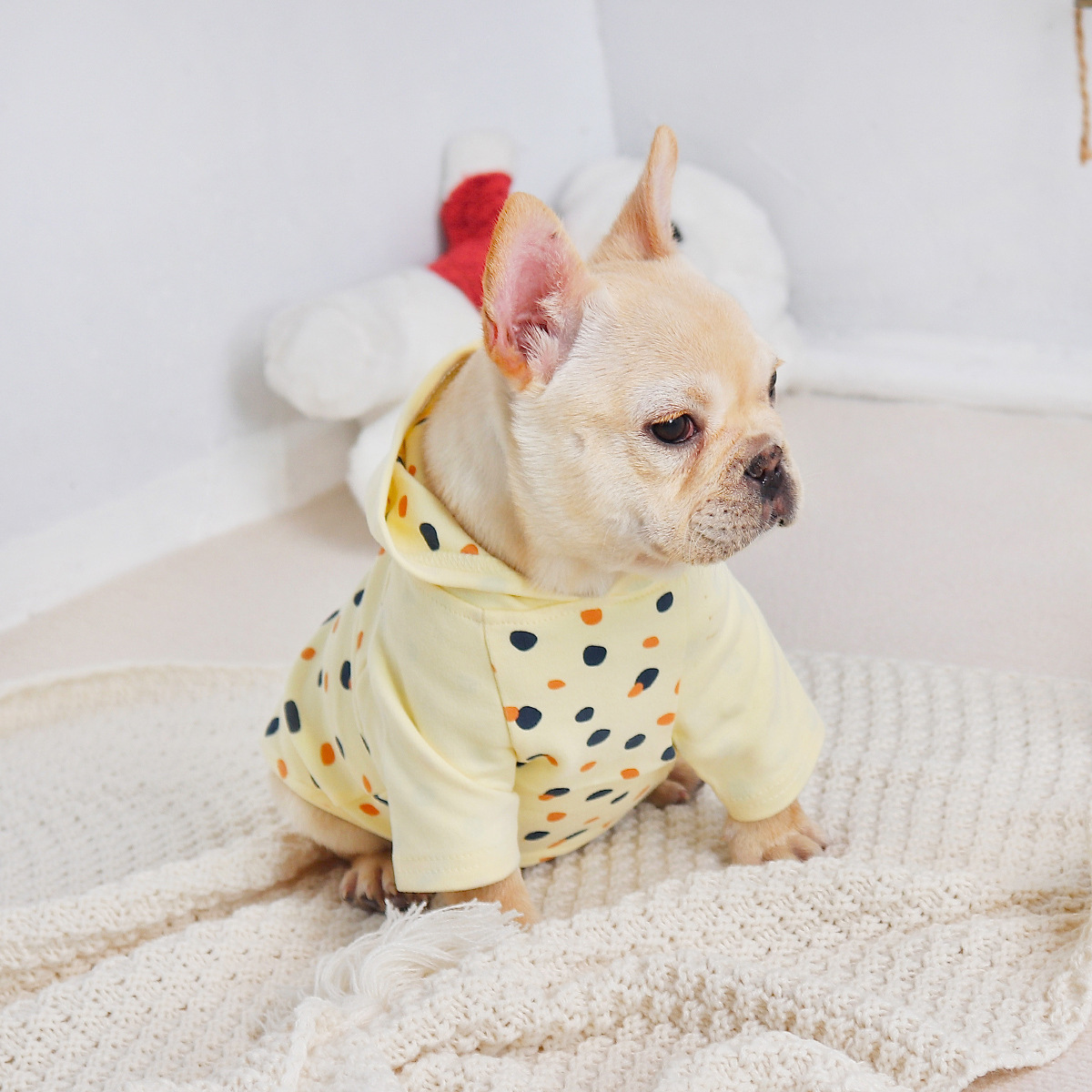 Small Thickened Dog Hoodie