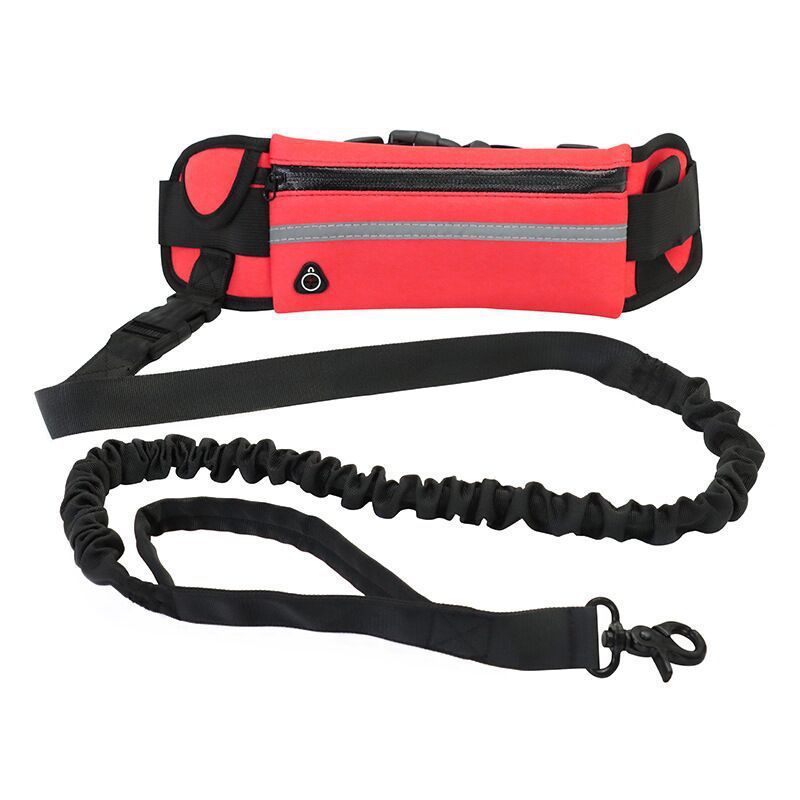 Hands Free Pet Purse Leash For Dog Walking - Image 6