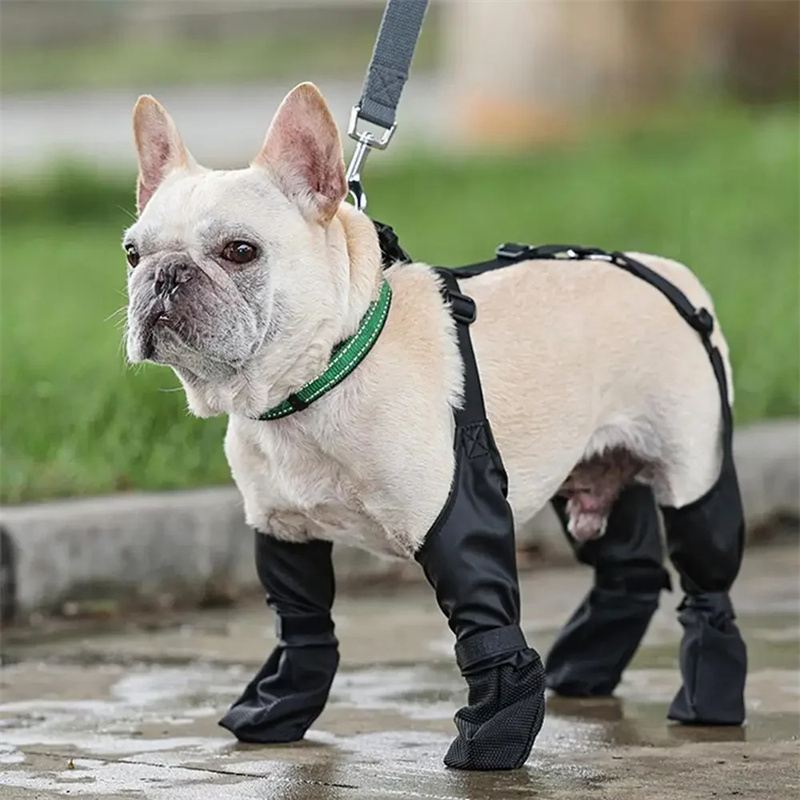 Waterproof Dog Adjustable Breathbale Dog Boots - Image 8