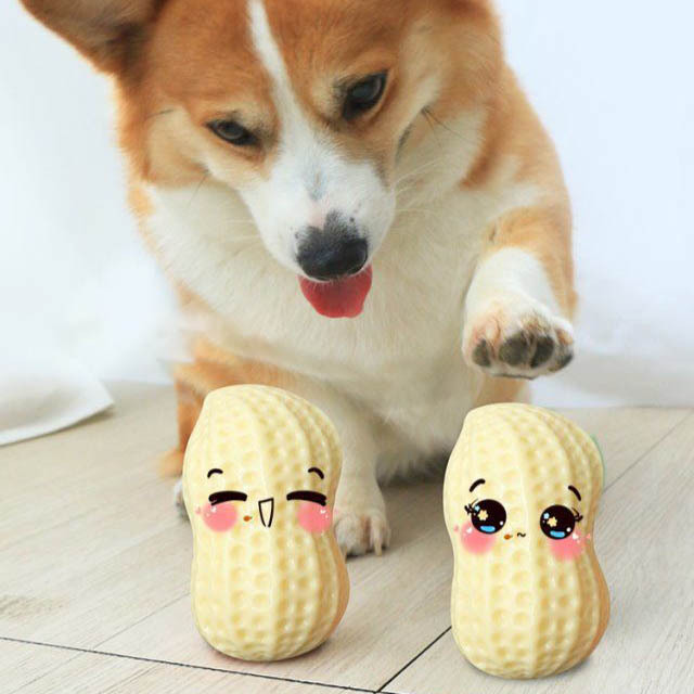 Pets Peanut Rubber Tooth Chew Toy