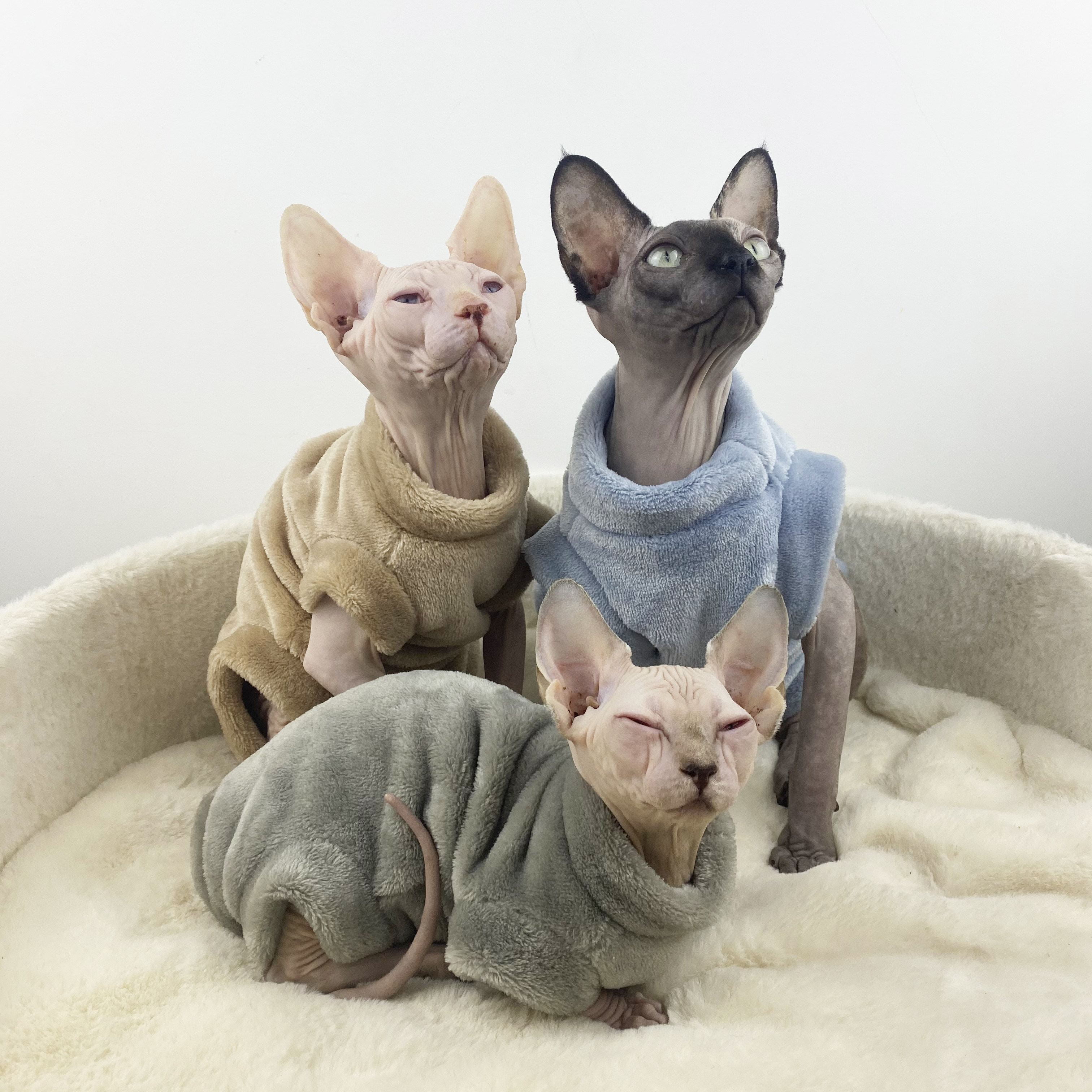 Sphinx Hairless Cat Flannel Thermal Jacket