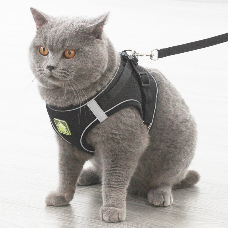 Anti-Escape Breathable Cat Walking Leash Vest - Image 5