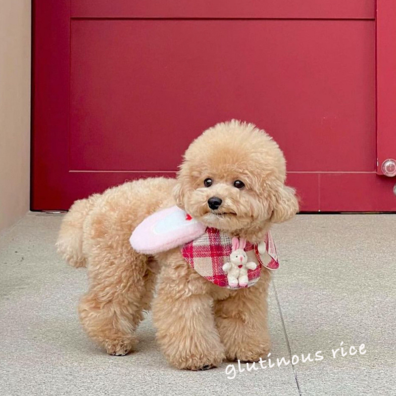 Pet Saliva Scarf Towel - Image 2