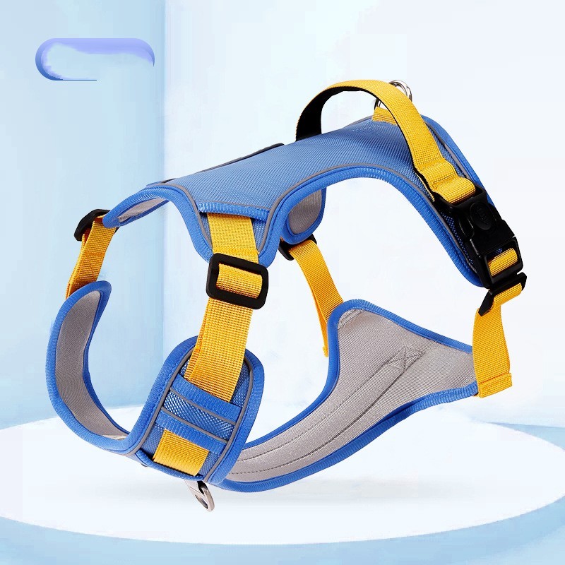 Pet Hand Holding Harness Rope - Image 5